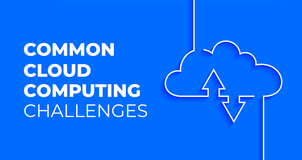 Challenges and Solutions in Cloud WMS Adoption